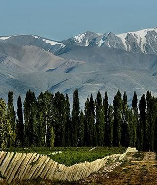 Terroir